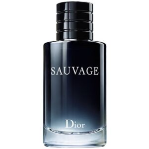 Perfume Dior Sauvage Eau de Toilette 100ml