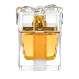 PERFUME FEMININO A WISH 100 ML EDP LONKOOM